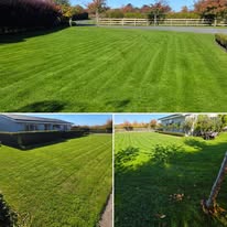 Garden Care Hamilton NZ